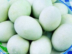 提供东平湖麻鸭蛋、麻鸭图3