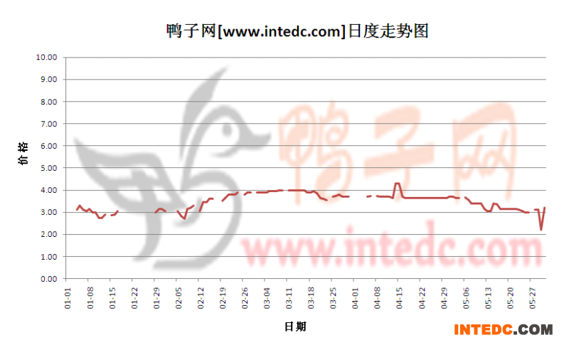 2012年5月份“潍坊毛鸭”日度走势