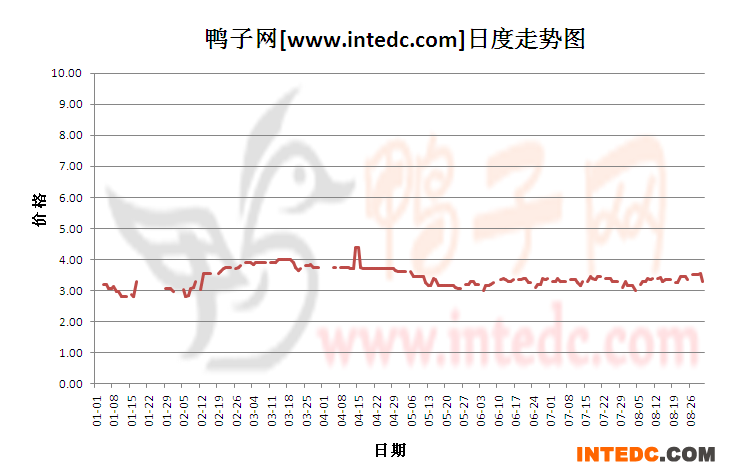 2012年8月份“临朐毛鸭”日度走势