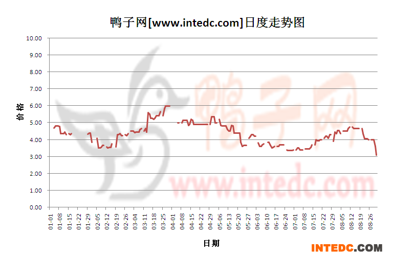 2012年8月份“云浮毛鸭”日度走势