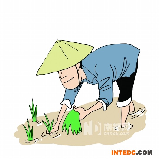 <p>2</p><p>3月10日左右开始插秧</p>