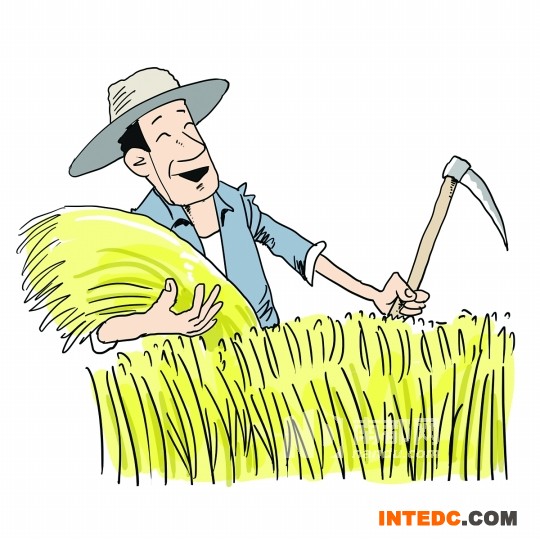 <p>5</p><p>稻子完全成熟，开始收割</p>