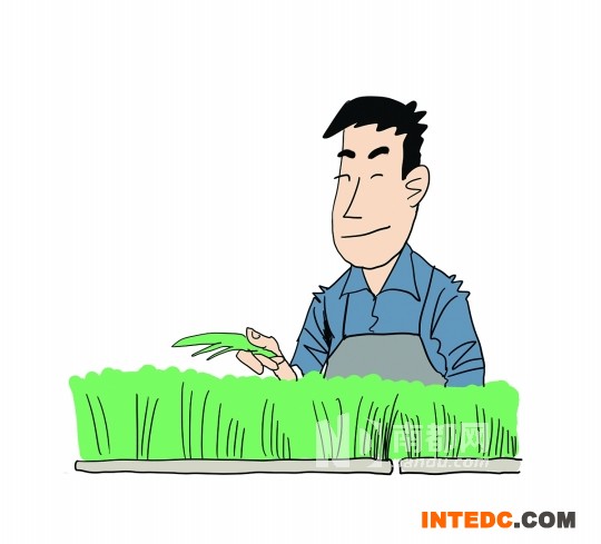 <p>鸭稻共养模式流程图</p><p>1</p><p>每年2月20日前后开始播种育秧</p>