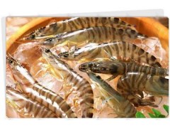 恩拉霉素4%预混剂图2