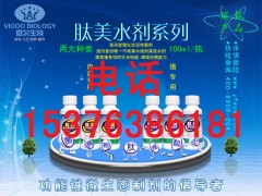 鸭子怎么提早出栏 降低死淘率 就用益生菌 微生态图2