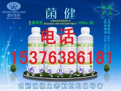 鸭子怎么提早出栏 降低死淘率 就用益生菌 微生态图3