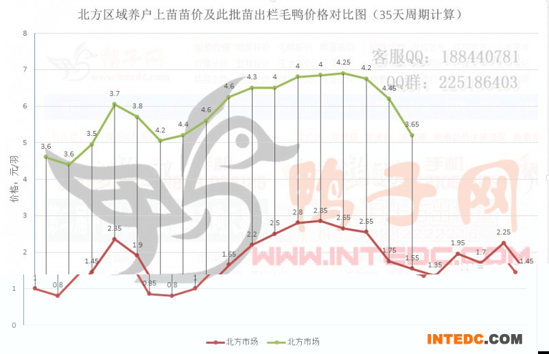 北方区域养户上苗苗价及此批苗出栏毛鸭价格对比图