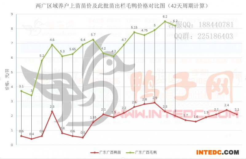 广东广西区域养户上苗苗价及此批苗出栏毛鸭价格对比图