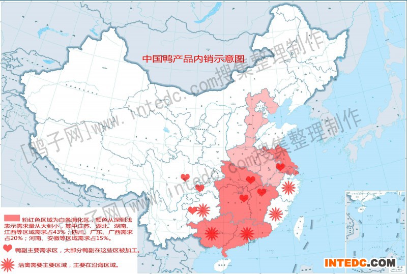 中国国内鸭产品消化示意图