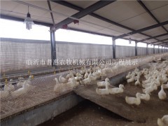 鸭用乳头式水线图3