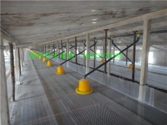 养鸭自动上料机图2
