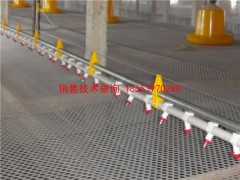 养鸭自动上料机图3
