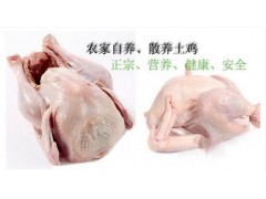 火鸡养殖的经济效益图3