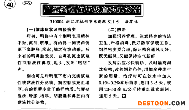 产蛋鸭慢性呼吸道病的诊治