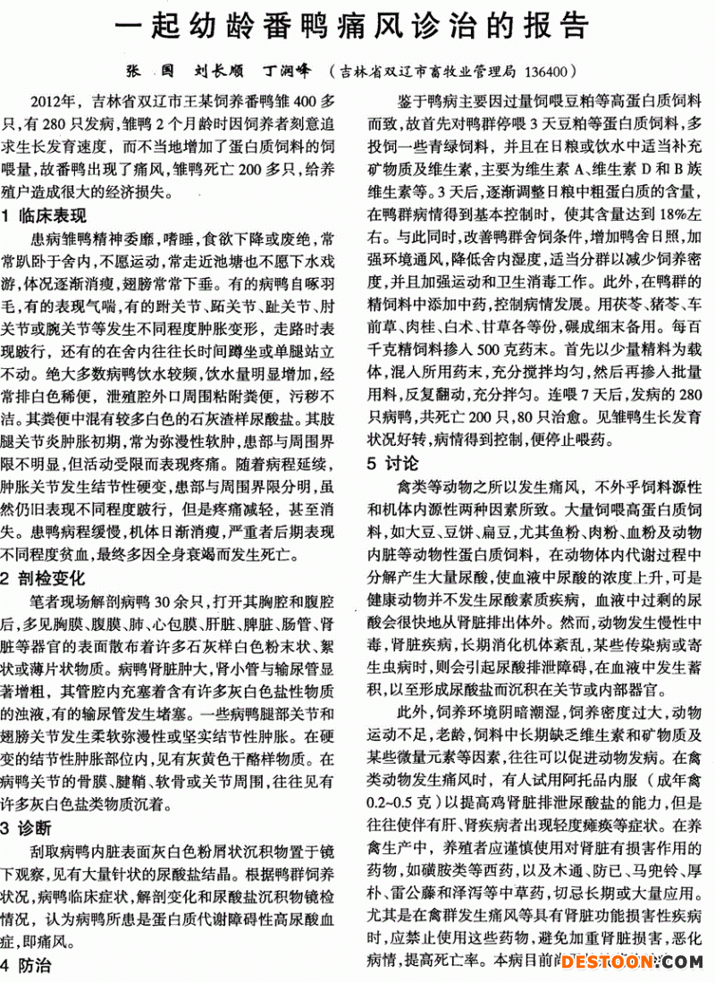一起幼龄番鸭痛风诊治