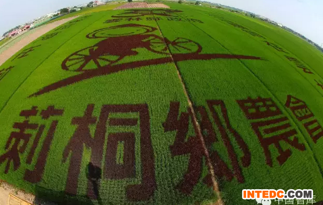 台湾现代农业农村发展的特点及其借鉴意义