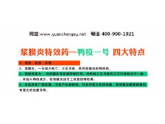 家禽疾病的克星——鸭疫一号图2