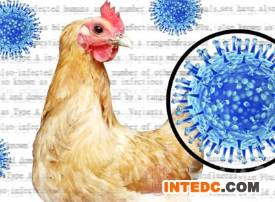 贵州省黔东南州对外公布确诊H7N9病例5例
