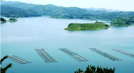 湖北丹江口“雷霆行动”仅一天拆除网箱946只，剩余9018只