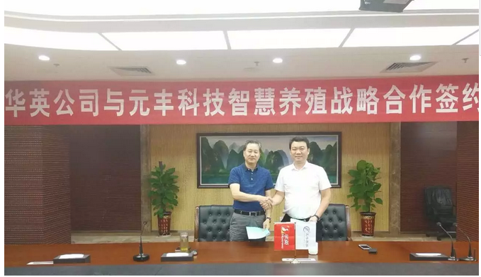 华英农业力推智慧养殖 农业物联网“赋能“家禽养殖业升级