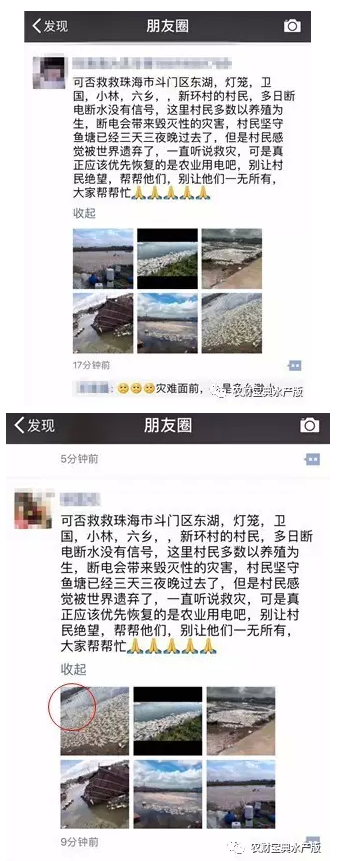 珠海死鱼已超2千万斤，损失过亿！多地养户守塘3天3夜仍停电，鱼虾死亡或翻倍！