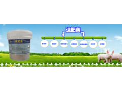 速肥美---多吃快肥、把钱回！图2