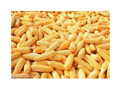 饲料厂采购玉米小麦高粱棉粕大米等饲料原料图1