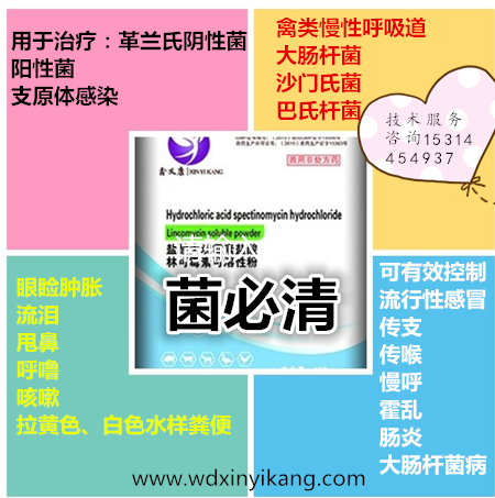 微信图片_201807040859291_副本