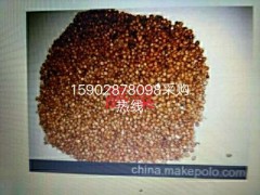 四川求购玉米大米碎米，小麦，木薯淀粉,高粱图1