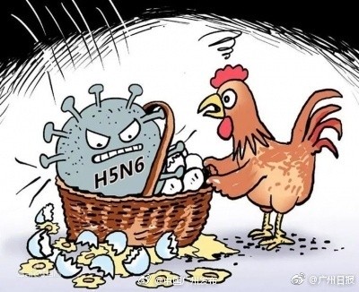 注意！广东在常规监测中发现1例H5N6病例