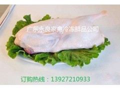 广东冰鲜鸭批发图2