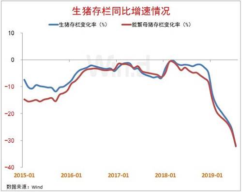 飙升的猪价何时休?一周不到6项政策已落地,更有活猪