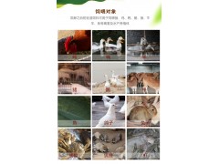 多少钱能买到豆渣发酵剂图3
