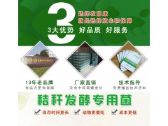 鸭子吃什么可以让鸭子长的更好图3