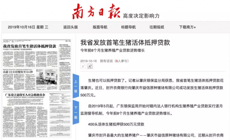 生猪变为硬通货！生猪也可以抵押贷款了​！400头猪抵押获500万元贷款，广东发放首笔活猪抵押贷款