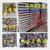 低价格供应大量金锭鸭苗，价格优惠，质量好