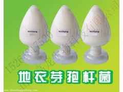 饲料添加剂益生菌|枯草地衣芽孢杆菌|生物菌图1
