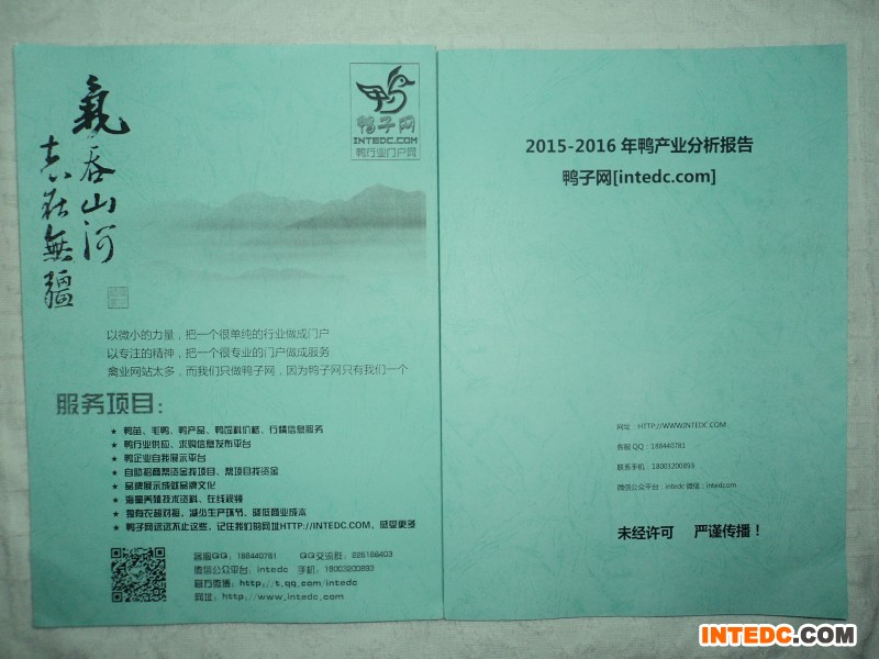 《2015-2016鸭产业投资分析报告》