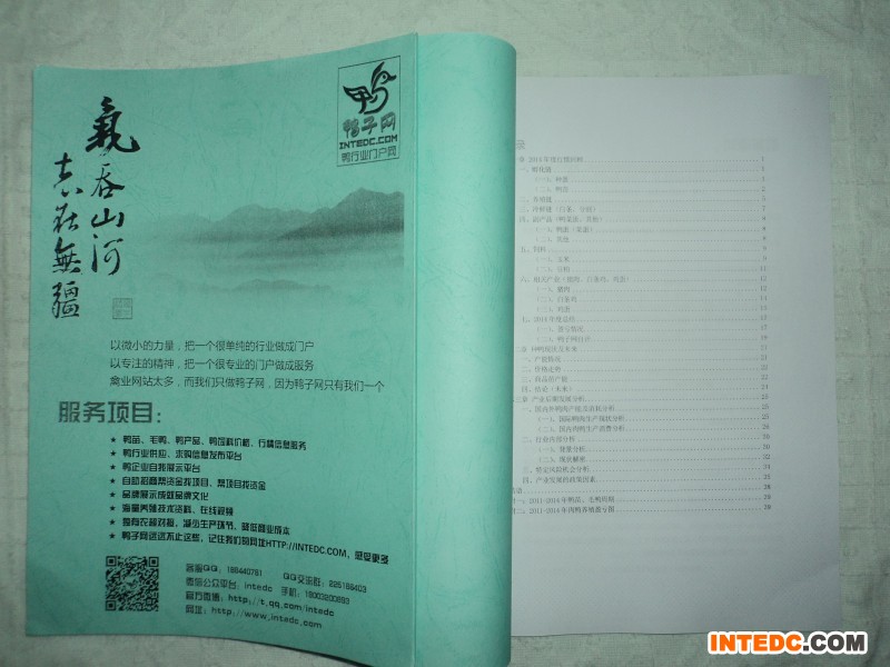 《2015-2016鸭产业投资分析报告》