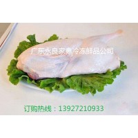 广东冰鲜鸭批发