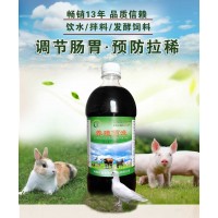 猪总拉稀不吃东西怎么办