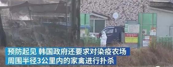 2_副本