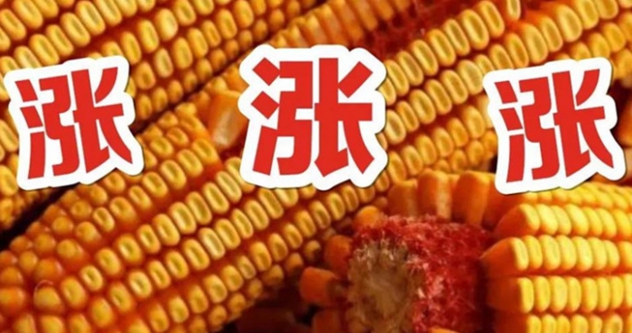 1_副本