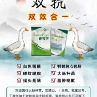 浆膜炎特效药代加工