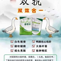 浆膜炎特效药 8小时控制死亡