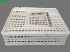 全新塑料鸡笼 塑料制品周转箱 商品鸡转运笼图6