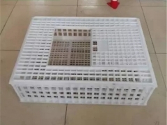 全新塑料鸡笼 塑料制品周转箱 商品鸡转运笼图3
