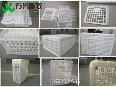 全新塑料鸡笼 塑料制品周转箱 商品鸡转运笼图7