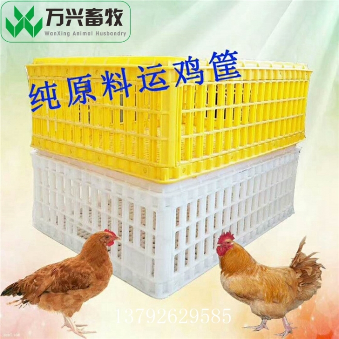 微信图6