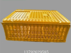 塑料成鸡筐 鸡周转筐 商品鸡周转笼图9